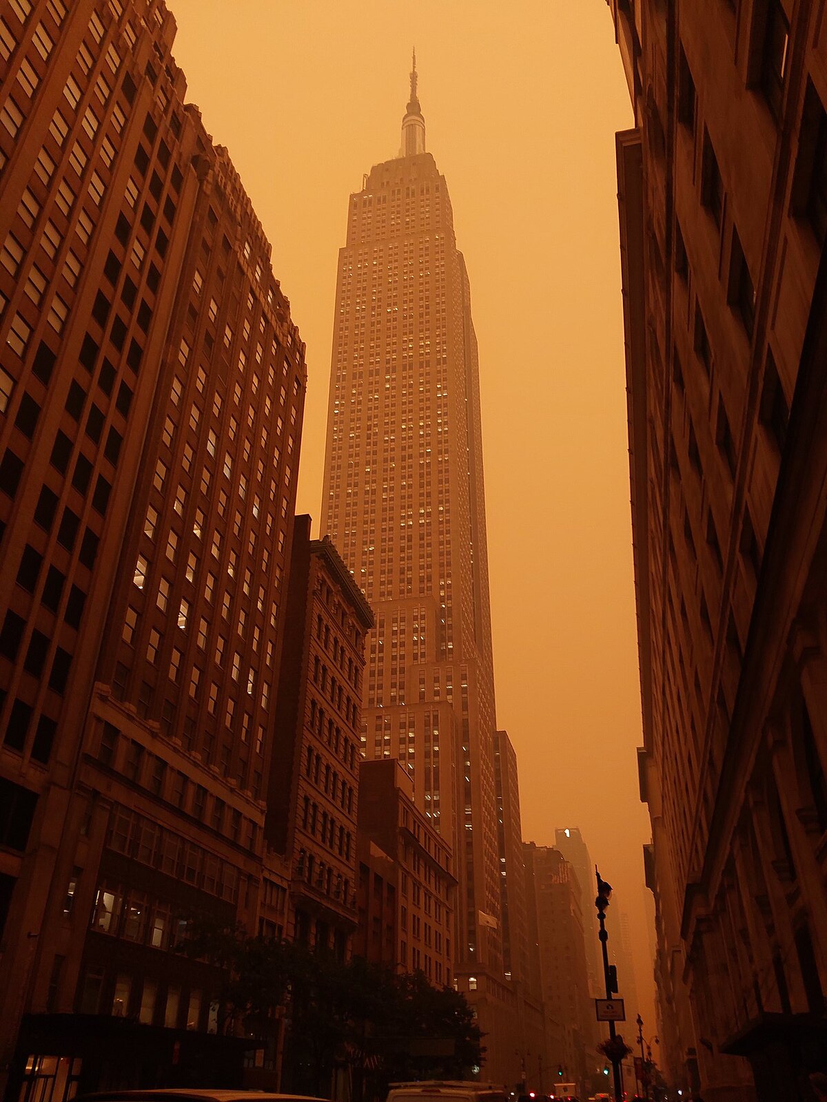 5 Over-The-Counter Medications for Wildfire Smoke